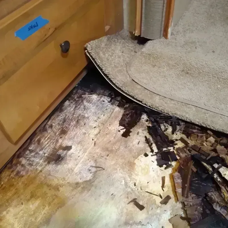 Wood Floor Water Damage in Linn County, KS